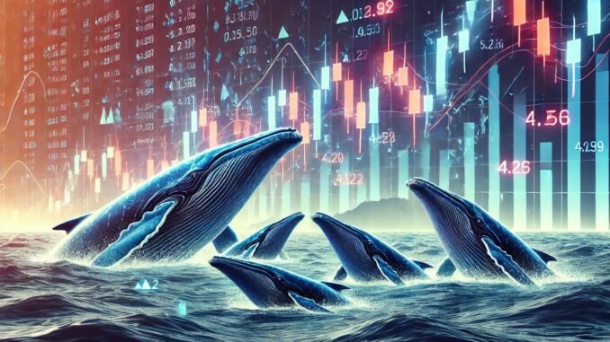 Dogecoin Whales