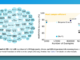 s1: A Simple Yet Powerful Test-Time Scaling Approach for LLMs