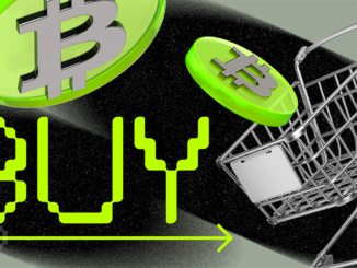 Bitcoin Hits Its Worst Quarter Since 2019, But Veteran Investors Are Shifting to Accumulation