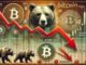 Bitcoin Sentiment Drops To Pre-Rally Levels As Traders Turn Bearish Post-ATH