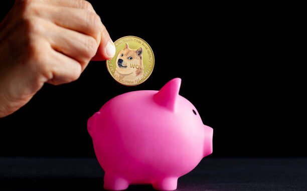 Dogecoin Foundation's Corporate Arm Launches Official DOGE Reserve With Massive Dogecoin