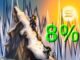 Solana rallies 8% as crypto markets recover — Is there room for more SOL upside?