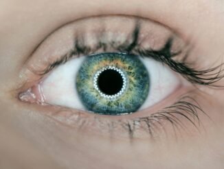 Human eye as the Fundamental AI Research (FAIR) team at Meta announces five projects advancing the company's pursuit of advanced machine intelligence (AMI) with significant boosts to enhancing perception abilities for use cases including robotics and agents.