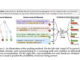 Reasoning Models Know When They’re Right: NYU Researchers Introduce a Hidden-State Probe That Enables Efficient Self-Verification and Reduces Token Usage by 24%