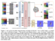Sensor-Invariant Tactile Representation for Zero-Shot Transfer Across Vision-Based Tactile Sensors
