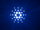 Cardano news