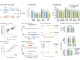 Google DeepMind Releases AlphaGenome: A Deep Learning Model that can more Comprehensively Predict the Impact of Single Variants or Mutations in DNA