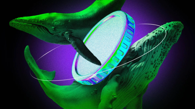 Whales Drive Record Stablecoin Activity on TRON 