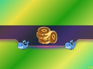 How Bullish Are Whales and Traders?