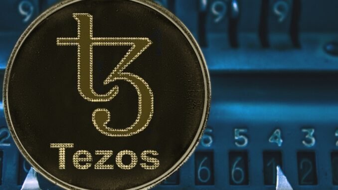 TezDev 2025: A Transformative Gathering for the Tezos Ecosystem