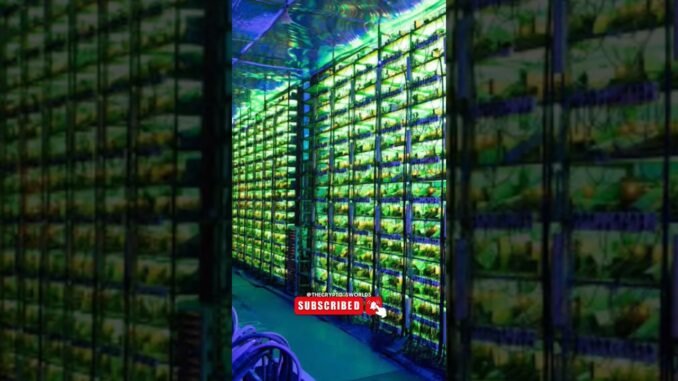 बिटकॉइन माइनिंग कैसे होती है😱| bitcoin mining🤑 @TheCryptosWorlds #bitcoin #bitcoinnews #mining