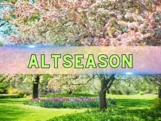 Altseason or Another False Start? Experts Split on Altcoin Market's Next Move