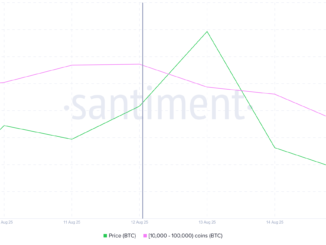 Bitcoin Whale Holding