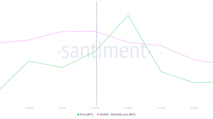 Bitcoin Whale Holding