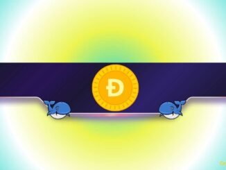 What Are Dogecoin Whales Preparing for?