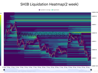 SHIB Liquidation Heatmap.