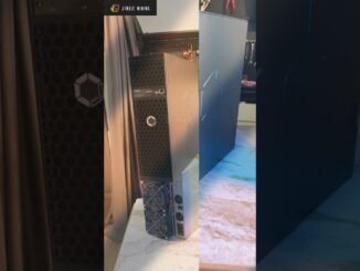 💖Avalon Q1! No pressure for beginners👶