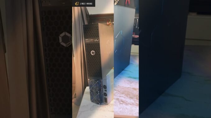 💖Avalon Q1! No pressure for beginners👶