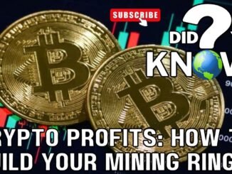 Crypto Profits: How to  Set up Build Mining Ring, Beginner’s Guide