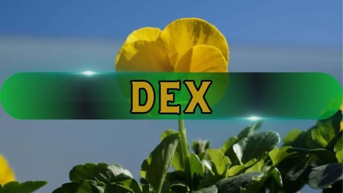 DeFi vs. CEX? CZ Says the Winner Is Clear