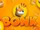 Safety Shot launches a BONK memecoin treasury-focused subsidiary