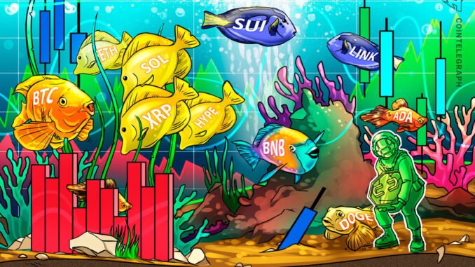 Weak PPI Leads To Bitcoin, Altcoin Rally