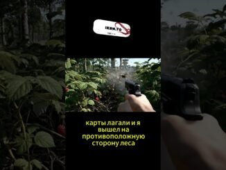 на меня напали 20 пчел #kraken #tor #ai #news