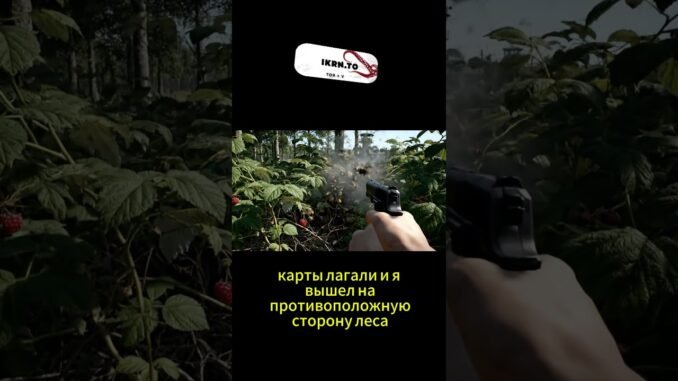 на меня напали 20 пчел #kraken #tor #ai #news