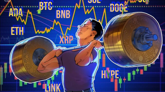 Bitcoin Chases New All-time Highs, Altcoins Gear Up to Follow