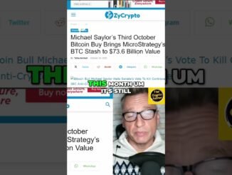 Bitcoin Whales & MicroStrategy's Big Crypto Investment