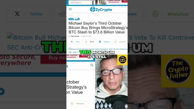 Bitcoin Whales & MicroStrategy's Big Crypto Investment