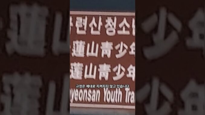 바로News를 AI로 편집해 보니까2