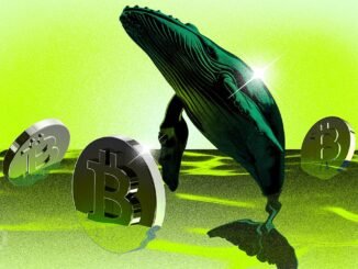 Bitcoin Whales Move Again, What Are They Seeing That We Don’t?