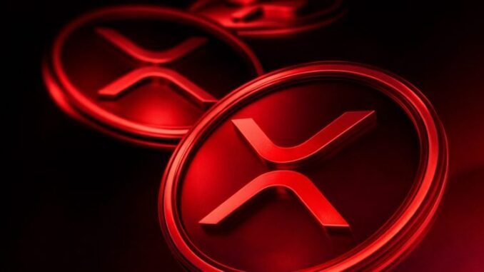 XRP ETFs post first day of outflows since November launch