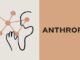 Anthropic Partners With Infosys to Deploy AI Agents in Telecom and Finance