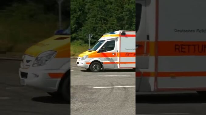 Crypto Empire Guide 2025