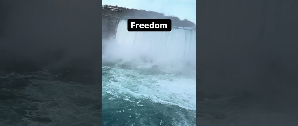 It gives wings✌️ #forextrading #daytrading #cryptonews