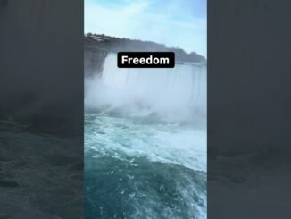 It gives wings✌️ #forextrading #daytrading #cryptonews