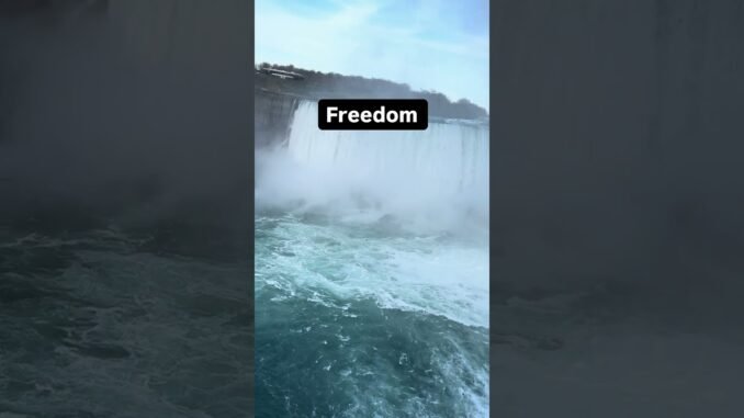 It gives wings✌️ #forextrading #daytrading #cryptonews