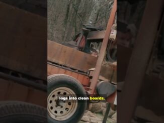 best vlog for beginners #ai #life #vlog #reallife #realifestory