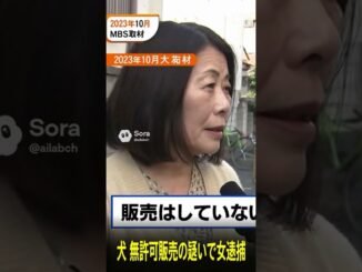 #ギャル#ニュース #政治#経済#お金＃節約＃可愛い＃美女＃投資#ai#news#sora #shorts #vlog