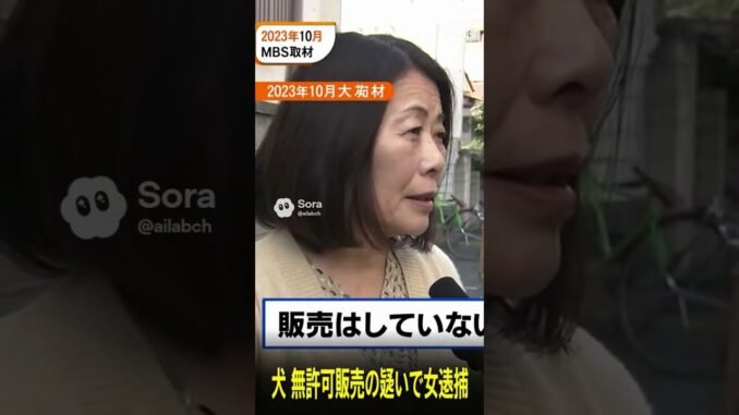 #ギャル#ニュース #政治#経済#お金＃節約＃可愛い＃美女＃投資#ai#news#sora #shorts #vlog