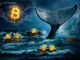 Bitcoin Whales, Sharks Realized $337M in Daily Losses in Q1 2026
