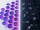 Split cryptocurrency liquidity pools showing regulatory bifurcation with purple gradient lighting