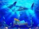 Hyperliquid Whale Shorts Bitcoin, Is A $75K Retest Incoming