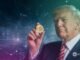 trump truth Bitcoin price at 4-month high of $80,529 on Monday, May 4, breaking $80,000 hours after President Donald Trump announced Project Freedom