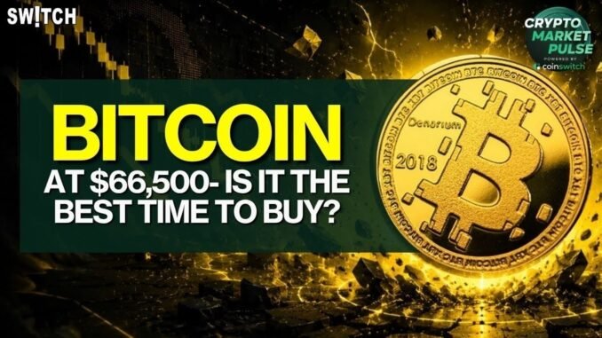 Crypto Market Pulse: BTC $66,500-Is It The Time To Buy?। Top News of The Day। Powered by CoinSwitch