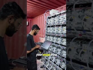 What Is Bitcoin Mining Hosting? (The Beginner's Guide)