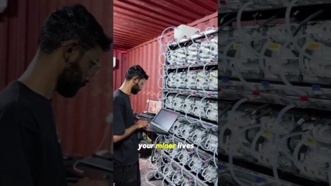 What Is Bitcoin Mining Hosting? (The Beginner's Guide)