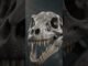 A fossil remained trapped inside a Japanese museum. #viral #ai #news